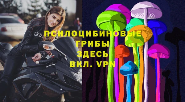 экстази Козельск