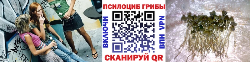 Галлюциногенные грибы GOLDEN TEACHER  Рыльск 