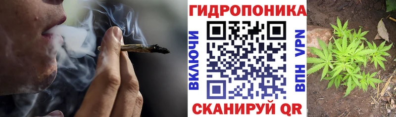Канабис планчик  Рыльск 